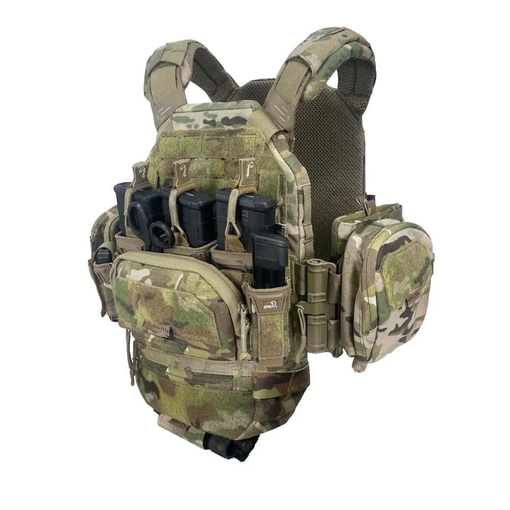 Plate carrier shop front pouch