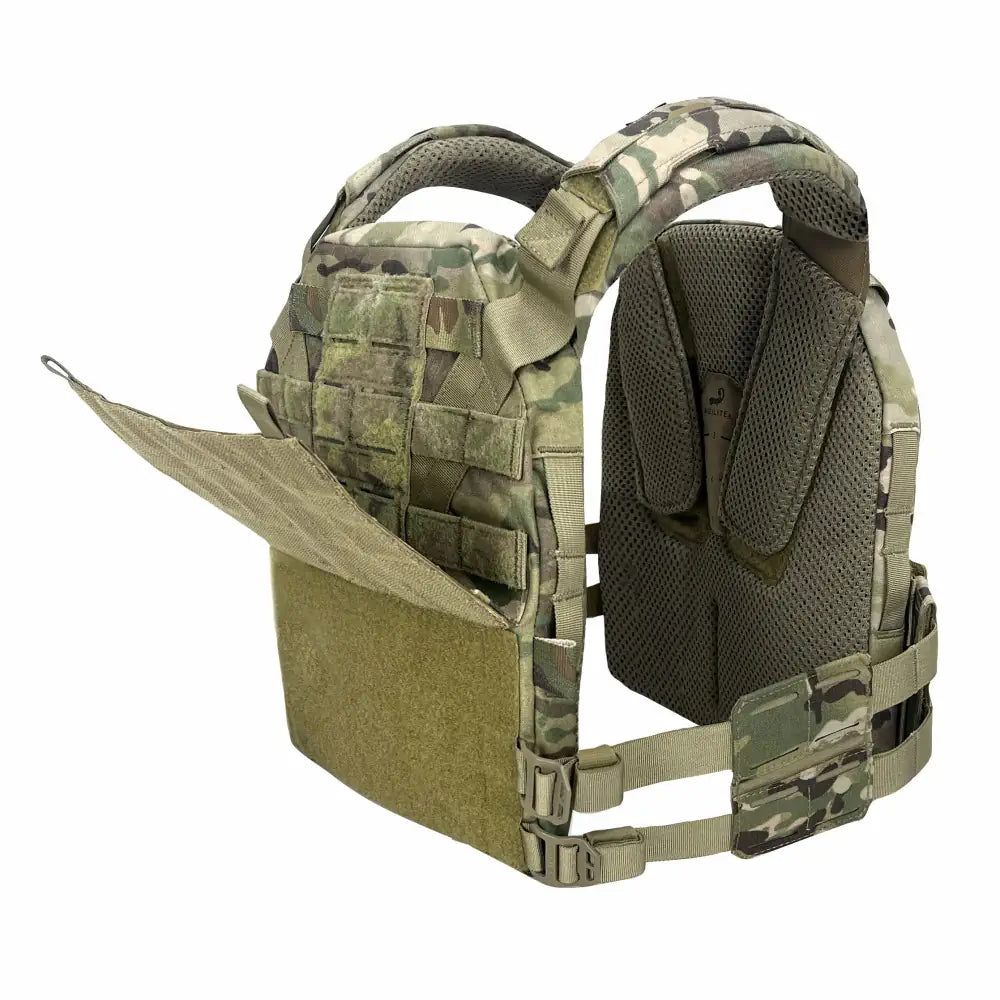 Plate carrier outlet back bag